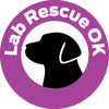 Lab Rescue of Oklahoma